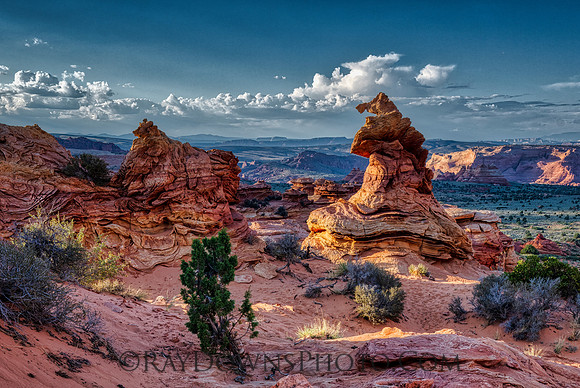 The Witches Hat South Coyote Buttes