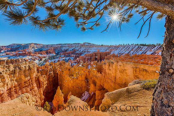 Bryce Canyon Sunburst