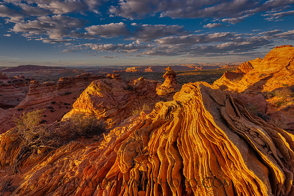 The Witches Hat South Coyote Buttes