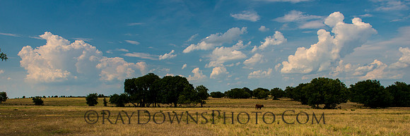 Texas ranch land