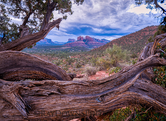 Sedona Cathedral Rock View through the trees