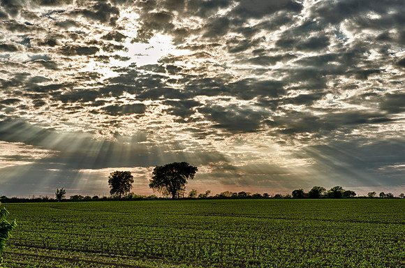 Sun rays