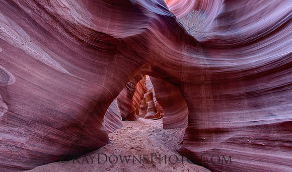 Rattlesnake Canyon