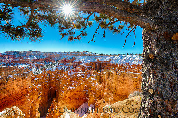 Bryce Canyon Sunset Point