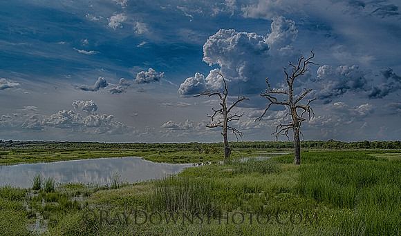Richland-chambers wetlands landscape