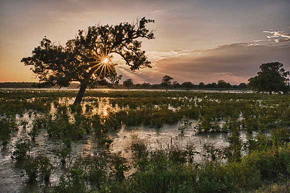 Richland Chambers WMA Sunset