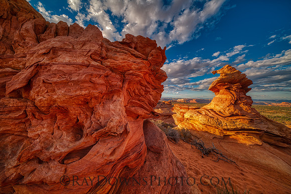 The Witches Hat South Coyote Buttes