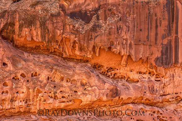 Capitol Reef NP
