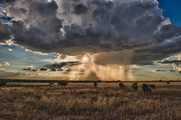 Texas Rain Storm