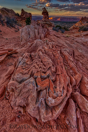 The Witches Hat South Coyote Buttes