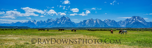Teton NP