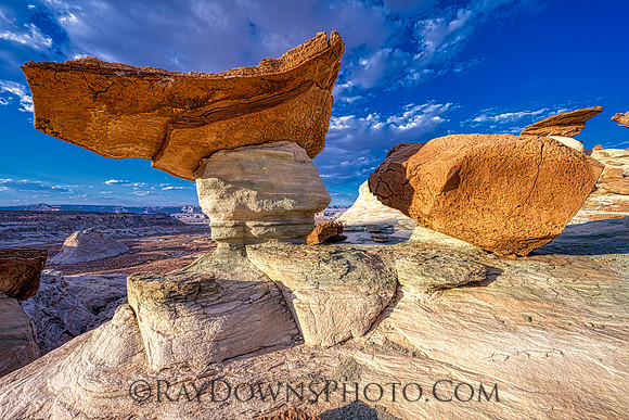 Stud Horst Point Page AZ