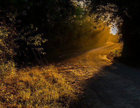 Road Home