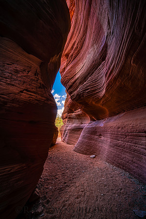 Peak-A-Boo Slot Kanab UT.