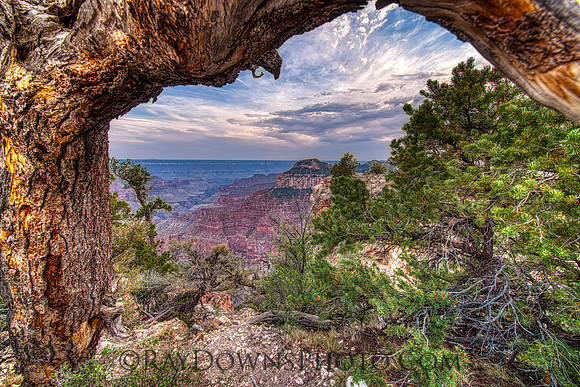 North Rim Grand Canyon