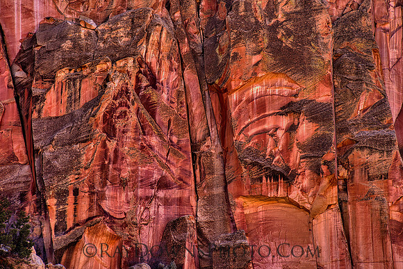 Capitol Reef NP