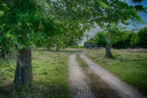 Crooked road to a crooked barn