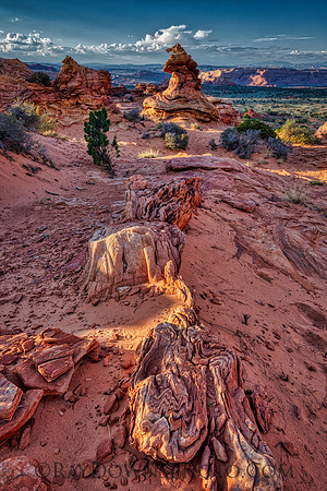 The Witches Hat South Coyote Buttes