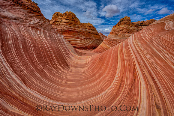 The Wave Swirl 2024 #2