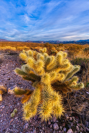 Superstition Mountains