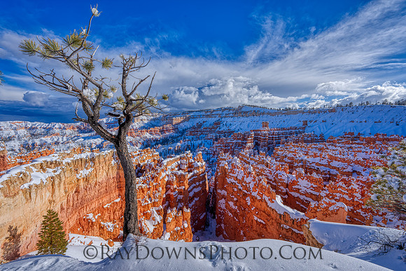Bryce Canyon