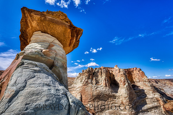 Stud Horse Point
