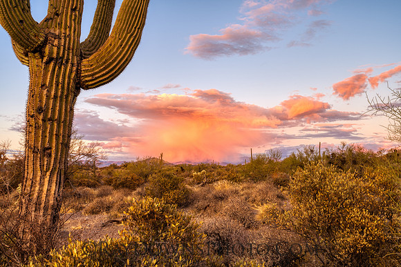 Superstition Mountains AZ