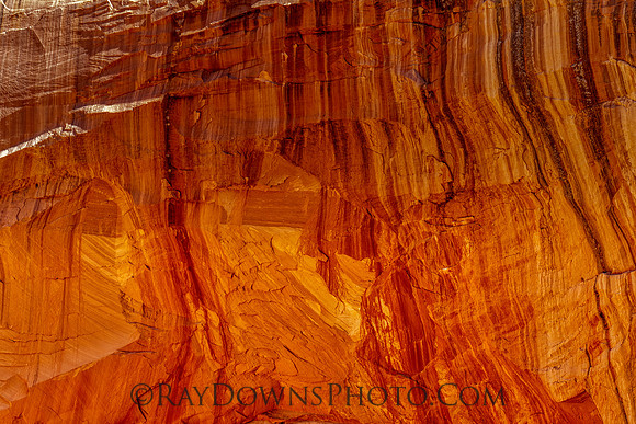 Capitol Reef NP