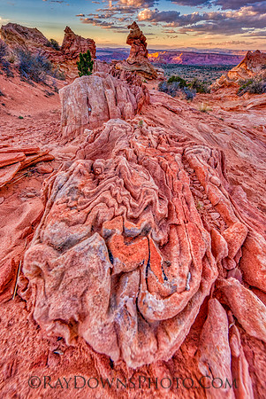 South Coyote Buttes the Sorting Hat