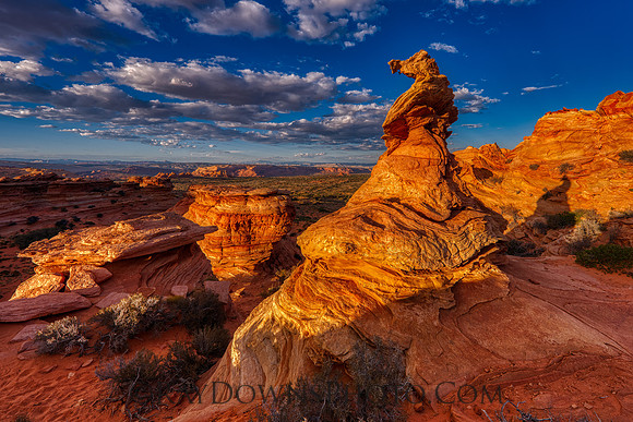 The Witches Hat South Coyote Buttes