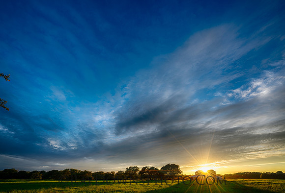 Old barn at sunset