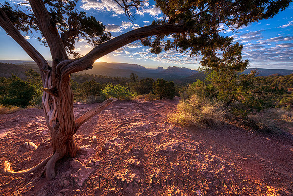 Lovers view Sedona AZ