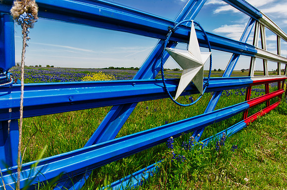 Ennis Texas Gate bluebonnets