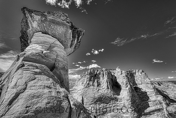 Stud Horse Point