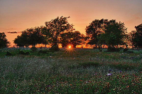 Old Texas Barn with sunburst