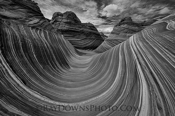 The Wave